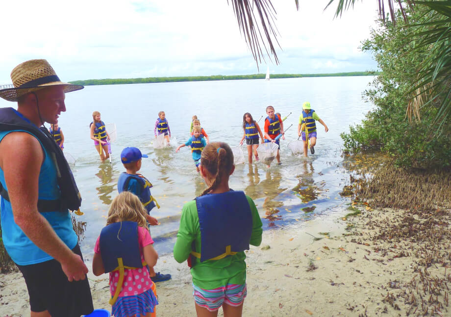Children collecting marine life critters at a summer watersports camp